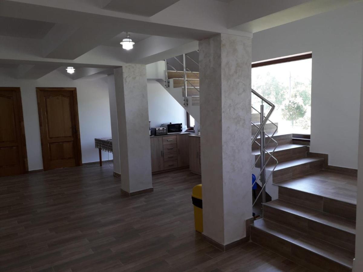 Vila Ovidiu Băile Herculane المظهر الخارجي الصورة